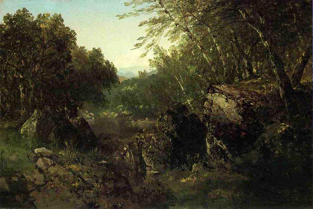 Wikioo.org - The Encyclopedia of Fine Arts - Painting, Artwork by John Frederick Kensett - Woodland Pool