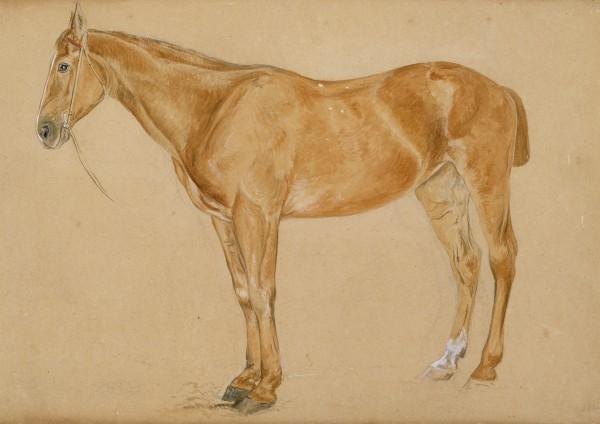Wikioo.org - The Encyclopedia of Fine Arts - Painting, Artwork by John Frederick Lewis - A chestnut horse with a docked tail
