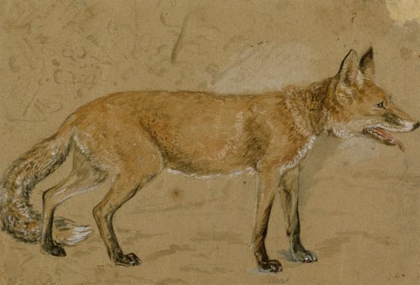 Wikioo.org – La Enciclopedia de las Bellas Artes - Pintura, Obras de arte de John Frederick Lewis - Un zorro