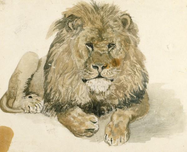 WikiOO.org - Εγκυκλοπαίδεια Καλών Τεχνών - Ζωγραφική, έργα τέχνης John Frederick Lewis - A lion at the Exeter