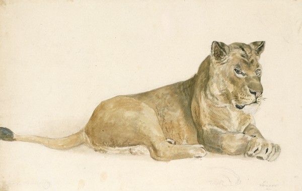 Wikioo.org - Bách khoa toàn thư về mỹ thuật - Vẽ tranh, Tác phẩm nghệ thuật John Frederick Lewis - A lioness