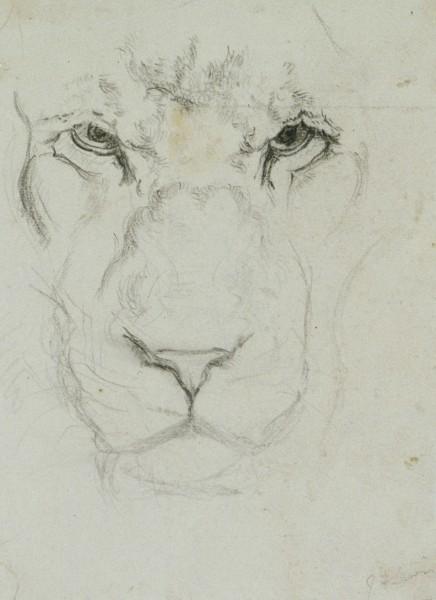 Wikoo.org - موسوعة الفنون الجميلة - اللوحة، العمل الفني John Frederick Lewis - Face of a lion