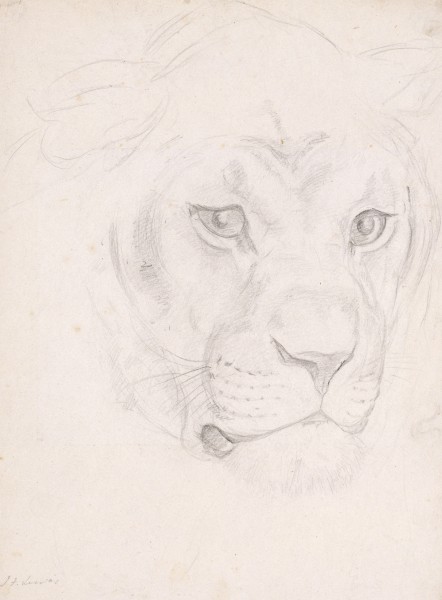 Wikioo.org - Bách khoa toàn thư về mỹ thuật - Vẽ tranh, Tác phẩm nghệ thuật John Frederick Lewis - Head of a lioness 1