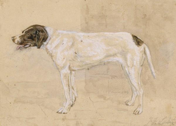 WikiOO.org - Encyclopedia of Fine Arts - Schilderen, Artwork John Frederick Lewis - Juno the dog