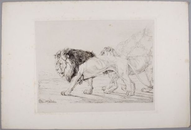 Wikioo.org - สารานุกรมวิจิตรศิลป์ - จิตรกรรม John Frederick Lewis - Lion and Lioness Prowling