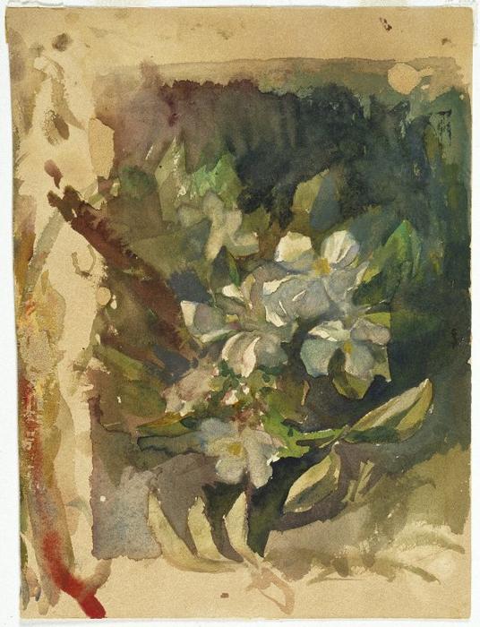 Wikioo.org - The Encyclopedia of Fine Arts - Painting, Artwork by John La Farge - Apple Blossoms in Sunlight
