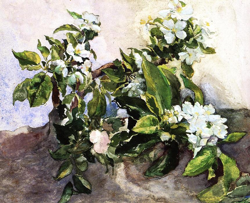 Wikioo.org - The Encyclopedia of Fine Arts - Painting, Artwork by John La Farge - Apple Blossoms