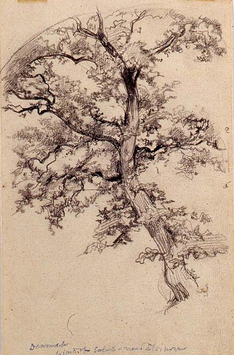 WikiOO.org - Encyclopedia of Fine Arts - Lukisan, Artwork John La Farge - Denmark - Tree