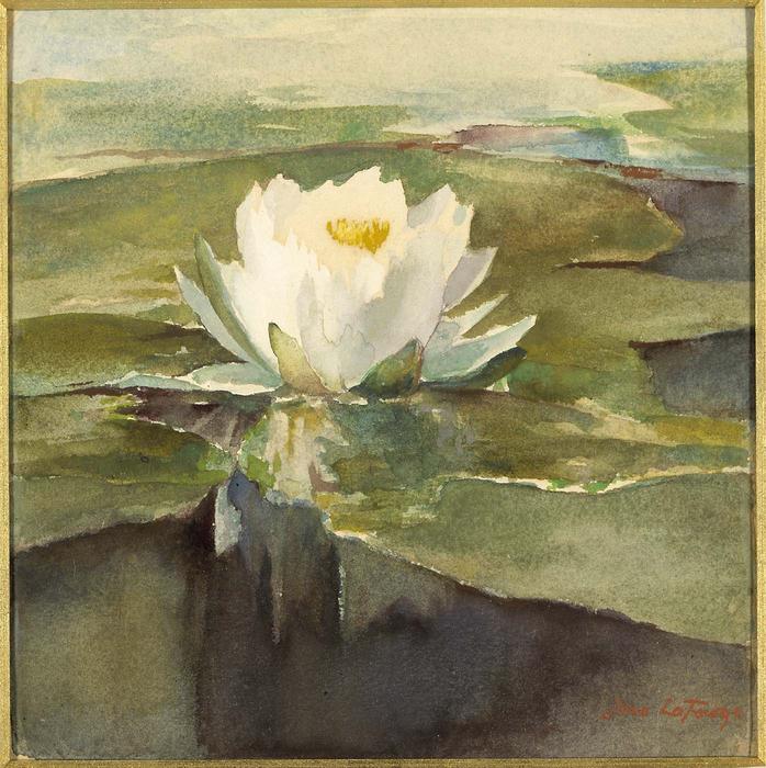 Wikioo.org - The Encyclopedia of Fine Arts - Painting, Artwork by John La Farge - Water Lily in Sunlight