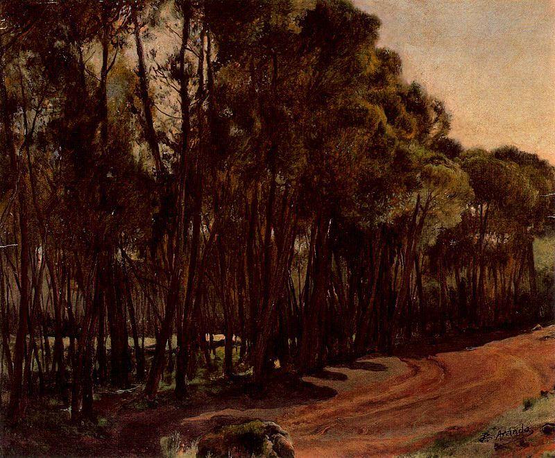 Wikioo.org - The Encyclopedia of Fine Arts - Painting, Artwork by José Jiménez Aranda - Pine-trees at Alcalá de Guadaira