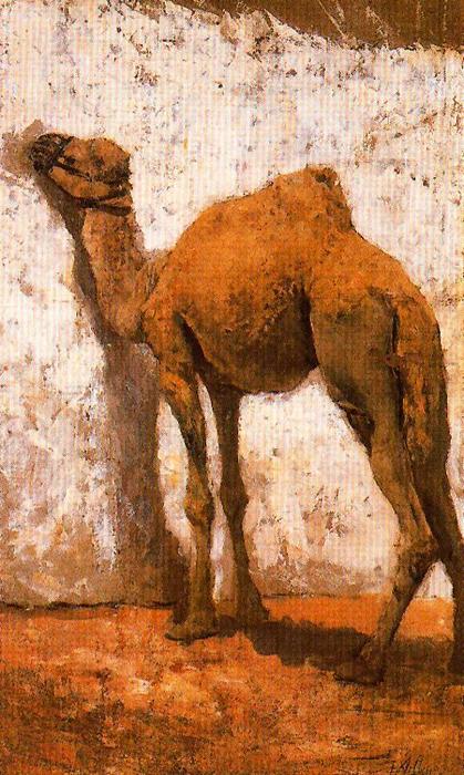 Wikioo.org - The Encyclopedia of Fine Arts - Painting, Artwork by José Villegas Cordero - Camel