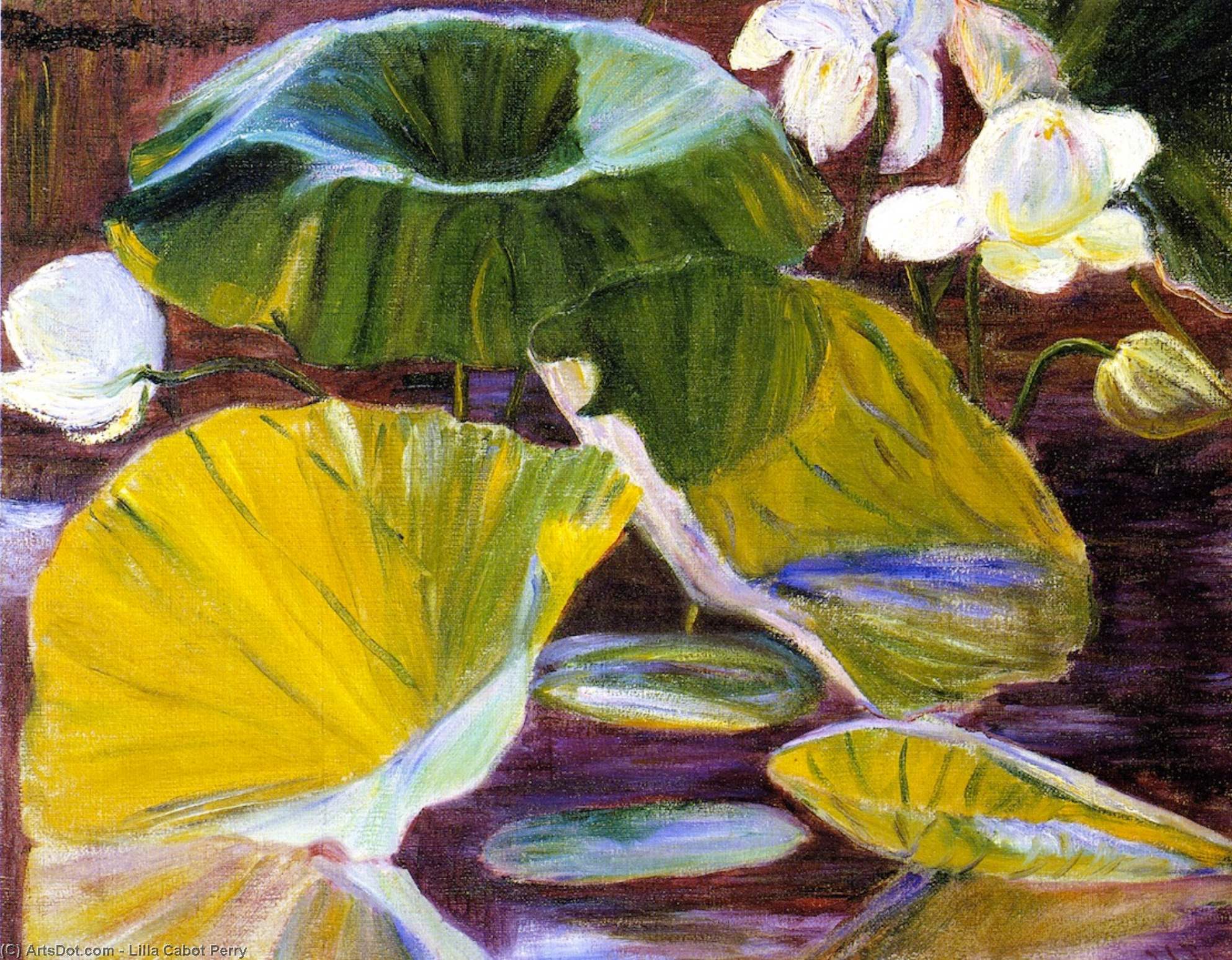 WikiOO.org - Encyclopedia of Fine Arts - Maľba, Artwork Lilla Cabot Perry - Lotus Flowers [Oya, Japan]