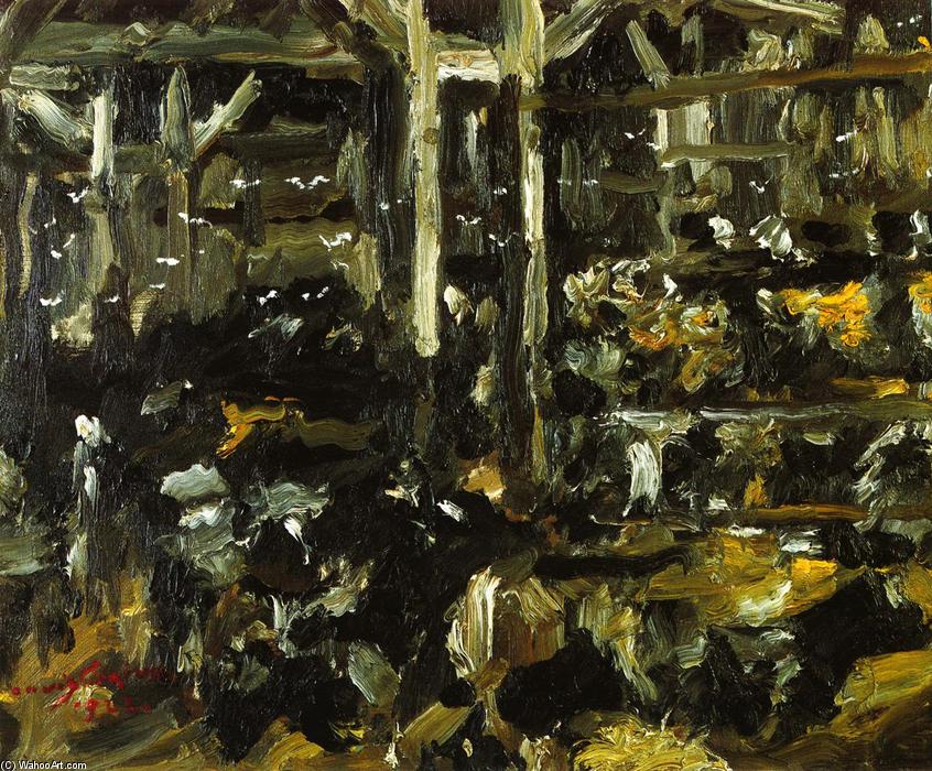 Wikioo.org - The Encyclopedia of Fine Arts - Painting, Artwork by Lovis Corinth (Franz Heinrich Louis) - Cowshed
