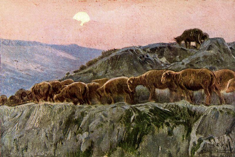 Wikioo.org - Encyklopedia Sztuk Pięknych - Malarstwo, Grafika Mariano Barbasan - sheep