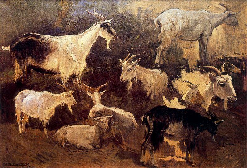 Wikioo.org - The Encyclopedia of Fine Arts - Painting, Artwork by Mariano Barbasan - Study of goats