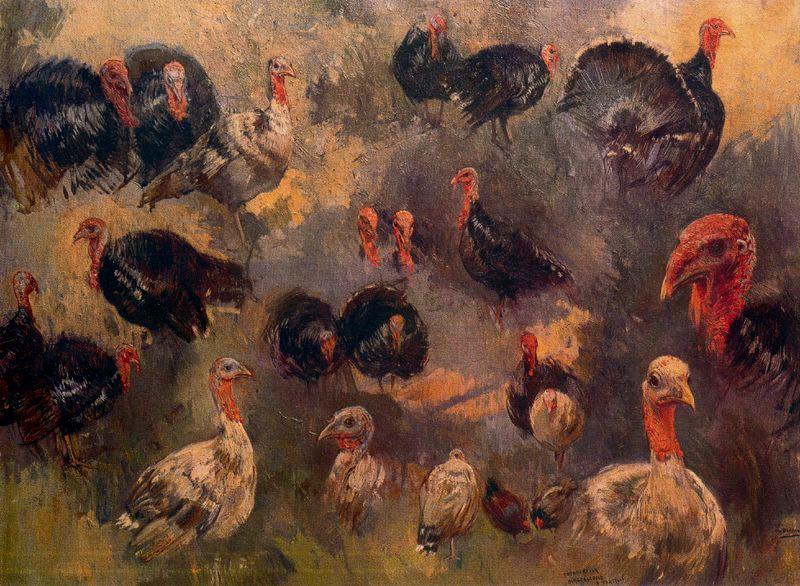 WikiOO.org - Encyclopedia of Fine Arts - Målning, konstverk Mariano Barbasan - Study of turkeys