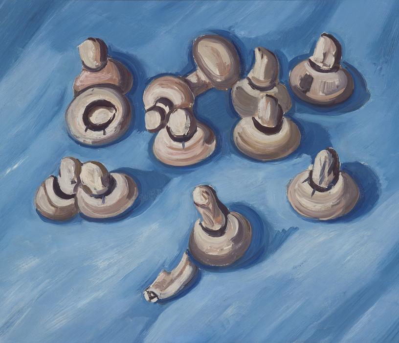 WikiOO.org - Encyclopedia of Fine Arts - Lukisan, Artwork Marsden Hartley - Mushrooms on a Blue Background