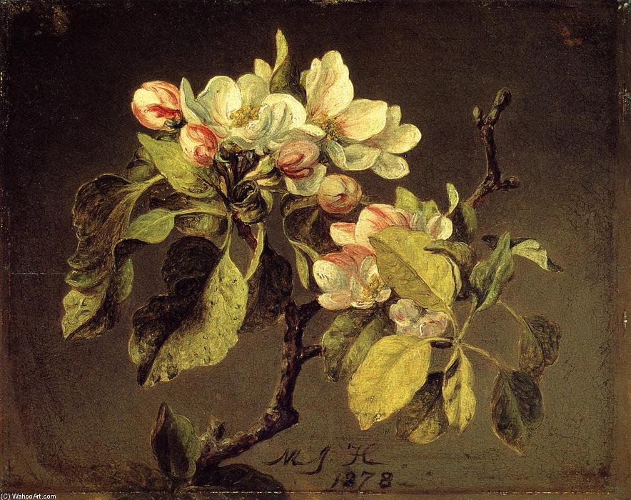 Wikioo.org – La Enciclopedia de las Bellas Artes - Pintura, Obras de arte de Martin Johnson Heade - Una rama de flores de Apple y Brotes