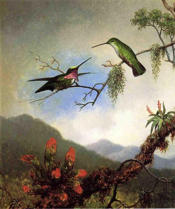 Wikioo.org - Bách khoa toàn thư về mỹ thuật - Vẽ tranh, Tác phẩm nghệ thuật Martin Johnson Heade - Amethyst Hummingbirds