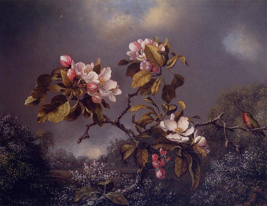Wikioo.org - The Encyclopedia of Fine Arts - Painting, Artwork by Martin Johnson Heade - Apple Blossoms and Hummingbird 1