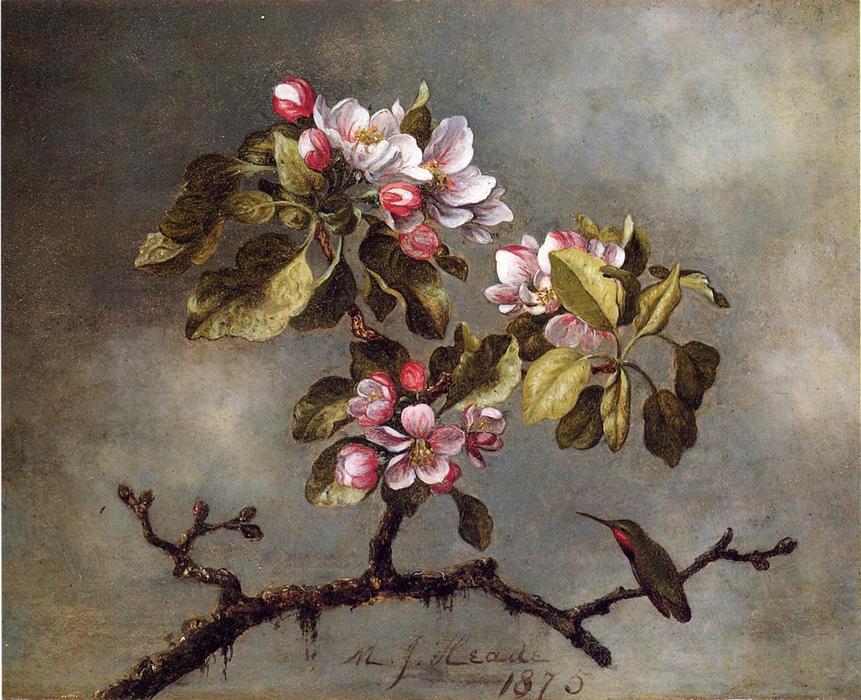 Wikioo.org - The Encyclopedia of Fine Arts - Painting, Artwork by Martin Johnson Heade - Apple Blossoms and Hummingbird