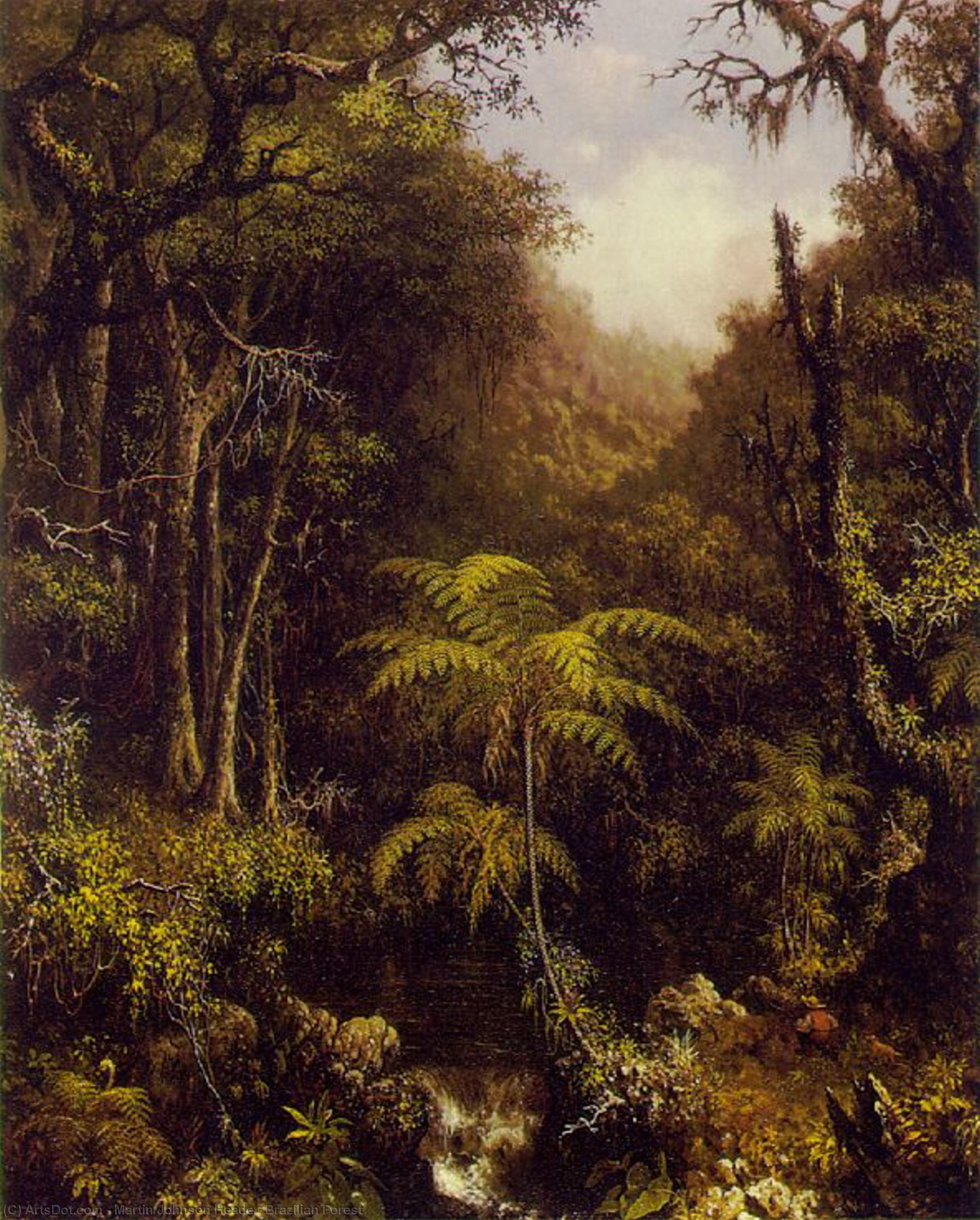 Wikioo.org - The Encyclopedia of Fine Arts - Painting, Artwork by Martin Johnson Heade - Brazilian Forest