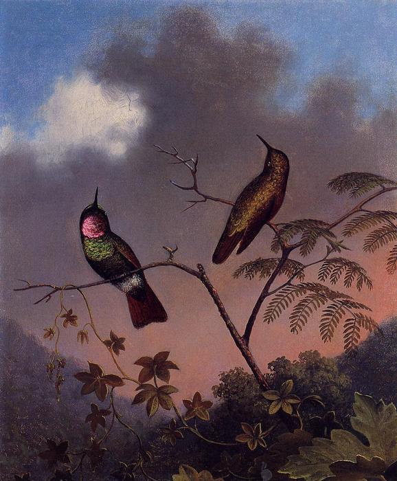 Wikioo.org - The Encyclopedia of Fine Arts - Painting, Artwork by Martin Johnson Heade - Brazilian Ruby Hummingbirds