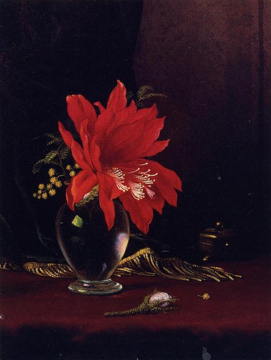 Wikioo.org - The Encyclopedia of Fine Arts - Painting, Artwork by Martin Johnson Heade - Chateau of Flower