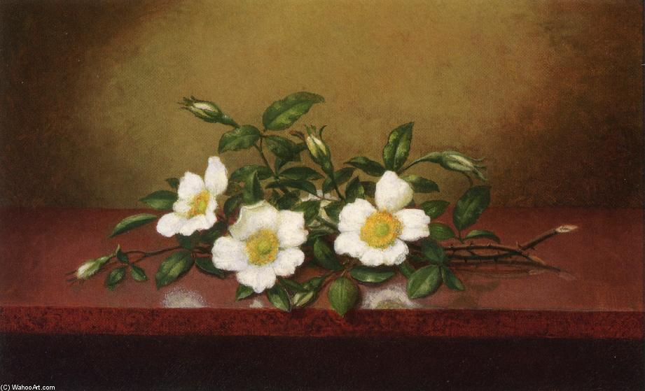 Wikioo.org - The Encyclopedia of Fine Arts - Painting, Artwork by Martin Johnson Heade - Cherokee Roses on a Shiney Table