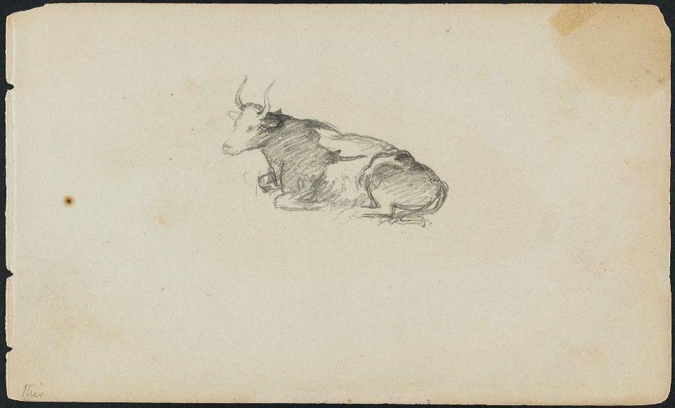 Wikioo.org - สารานุกรมวิจิตรศิลป์ - จิตรกรรม Martin Johnson Heade - Cow, lying down