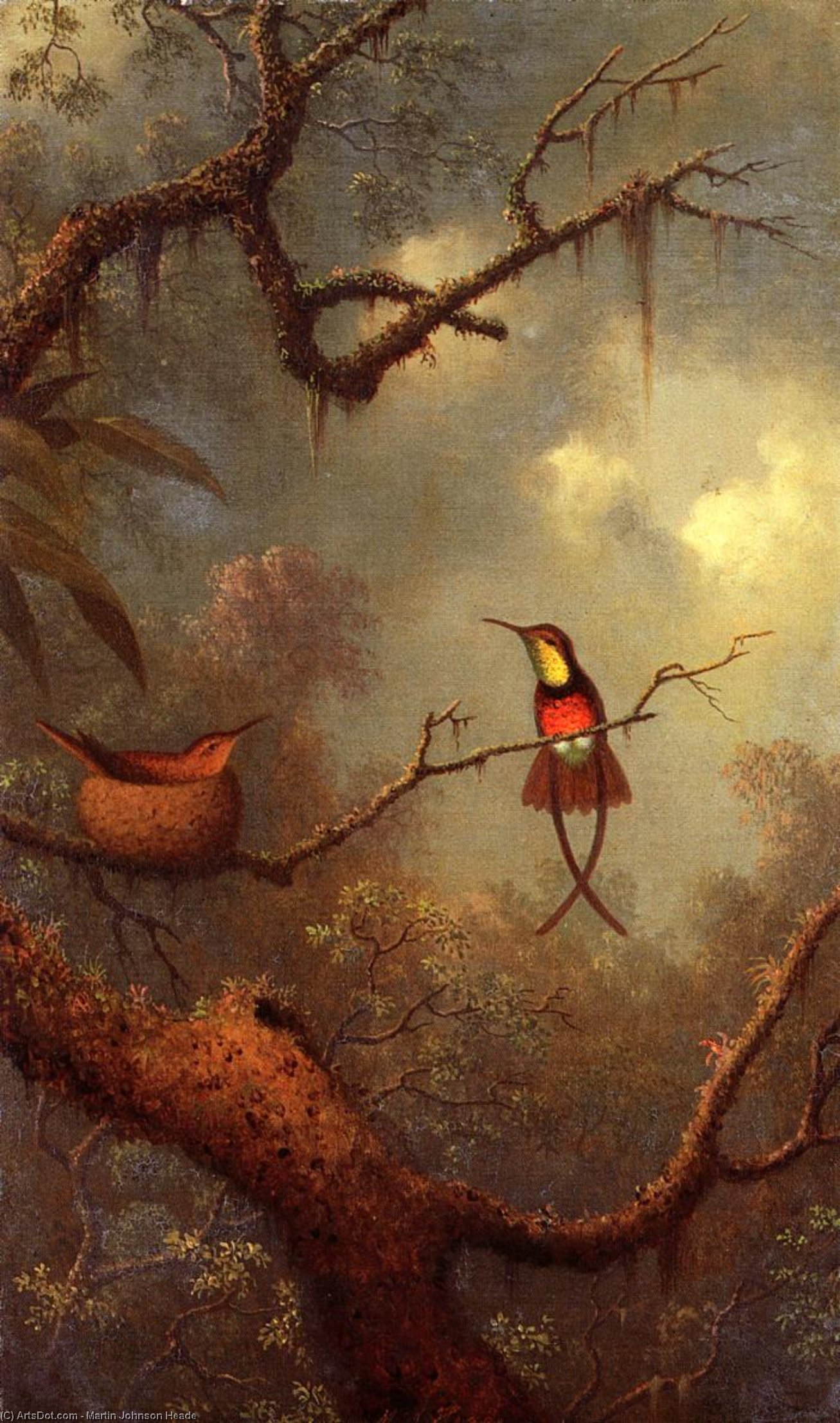 WikiOO.org - Encyclopedia of Fine Arts - Maleri, Artwork Martin Johnson Heade - Cromson Topaz Hummingbirds Nesting in a Tropical Forest