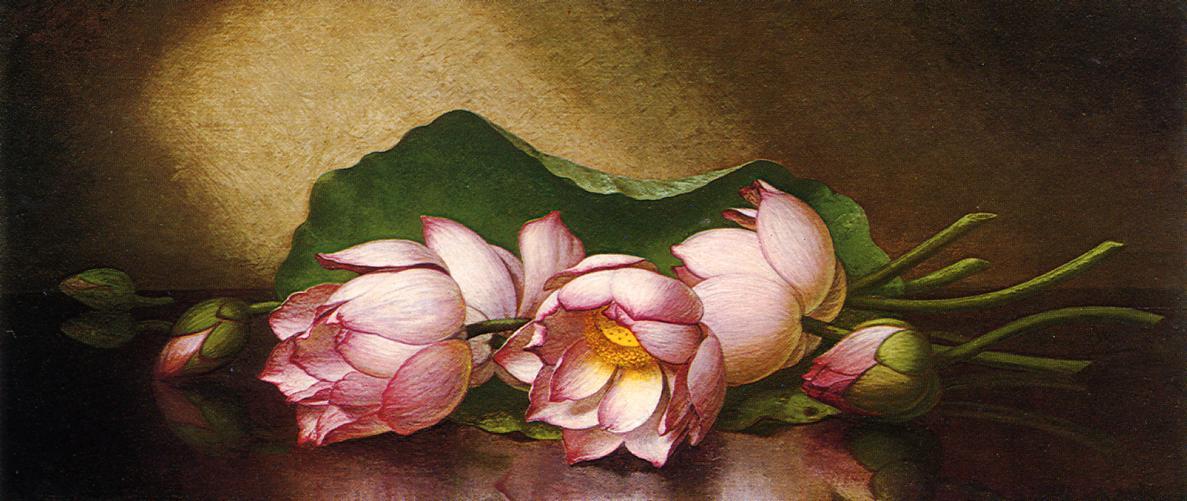 WikiOO.org - Енциклопедия за изящни изкуства - Живопис, Произведения на изкуството Martin Johnson Heade - Egyptian Lotus Blossom