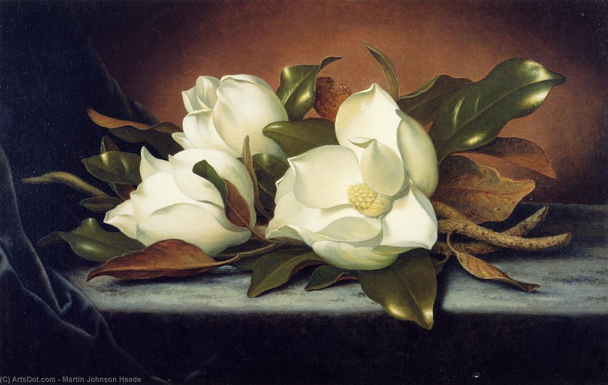Wikioo.org – La Enciclopedia de las Bellas Artes - Pintura, Obras de arte de Martin Johnson Heade - Magnolias gigantes