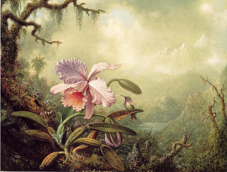 Wikioo.org - The Encyclopedia of Fine Arts - Painting, Artwork by Martin Johnson Heade - Heliodore's Woodstar and a Pink Orchid