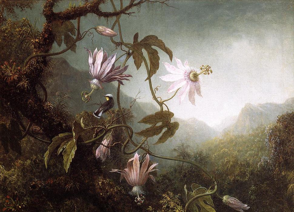 Wikioo.org – La Enciclopedia de las Bellas Artes - Pintura, Obras de arte de Martin Johnson Heade - Colibrí Encaramado cerca de las flores de la pasión