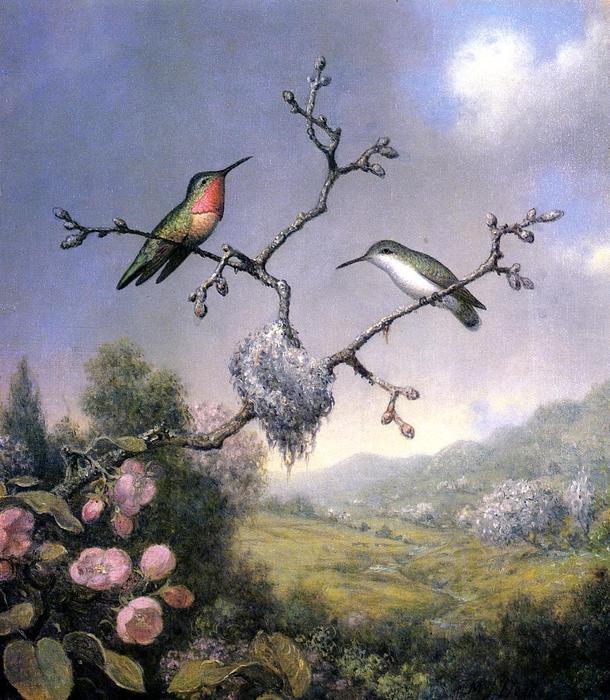 Wikioo.org - The Encyclopedia of Fine Arts - Painting, Artwork by Martin Johnson Heade - Hummingbirds and Apple Blossoms