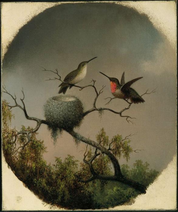 WikiOO.org - אנציקלופדיה לאמנויות יפות - ציור, יצירות אמנות Martin Johnson Heade - Hummingbirds with Nest