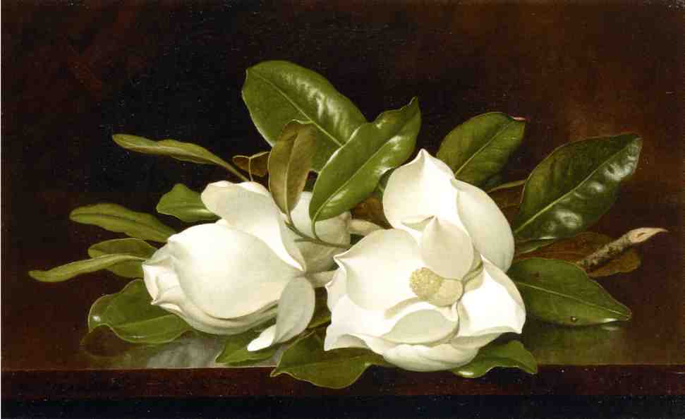 WikiOO.org - אנציקלופדיה לאמנויות יפות - ציור, יצירות אמנות Martin Johnson Heade - Magnolias on a Wooden Table