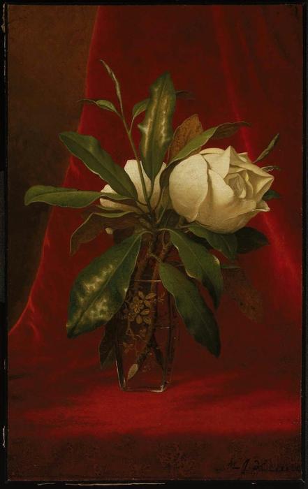 Wikioo.org - The Encyclopedia of Fine Arts - Painting, Artwork by Martin Johnson Heade - Magnolias
