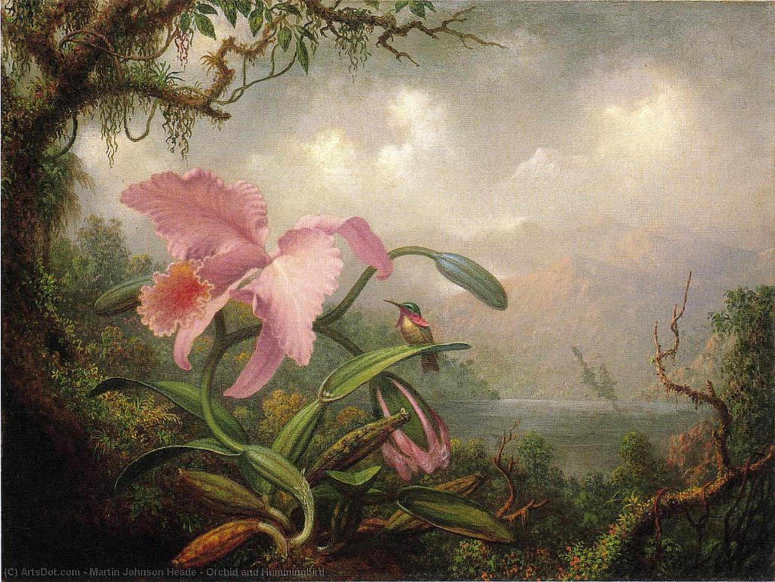 Wikioo.org - The Encyclopedia of Fine Arts - Painting, Artwork by Martin Johnson Heade - Orchid and Hummingbird