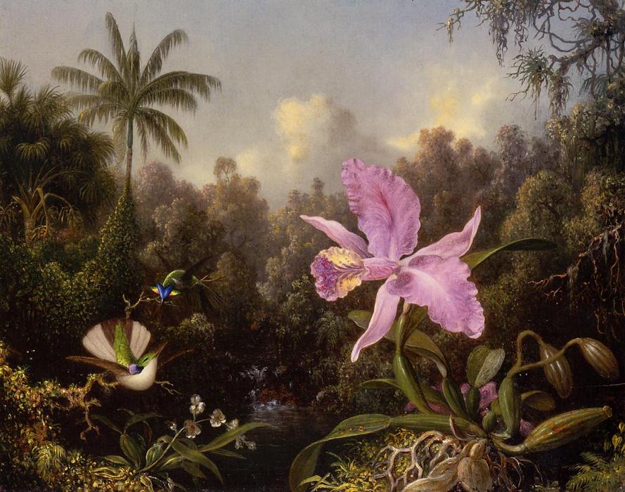Wikioo.org – La Enciclopedia de las Bellas Artes - Pintura, Obras de arte de Martin Johnson Heade - Orquídea y Dos Hummingburds