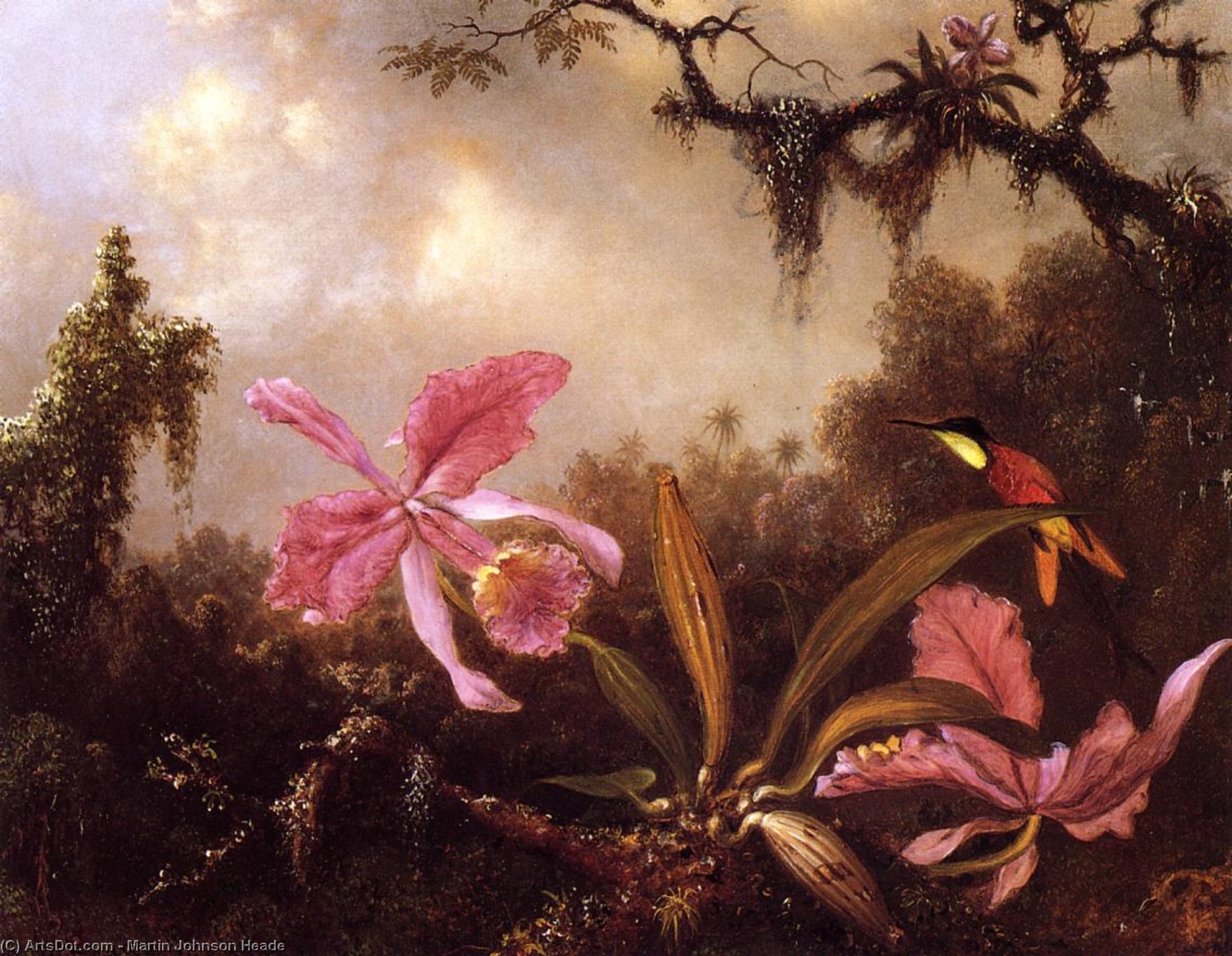 Wikioo.org - The Encyclopedia of Fine Arts - Painting, Artwork by Martin Johnson Heade - Orchids and Crimson Topaz Hummingbird