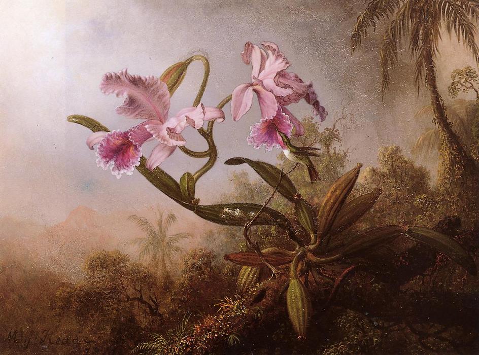 WikiOO.org - Encyclopedia of Fine Arts - Festés, Grafika Martin Johnson Heade - Orchids and Hummingbird 1