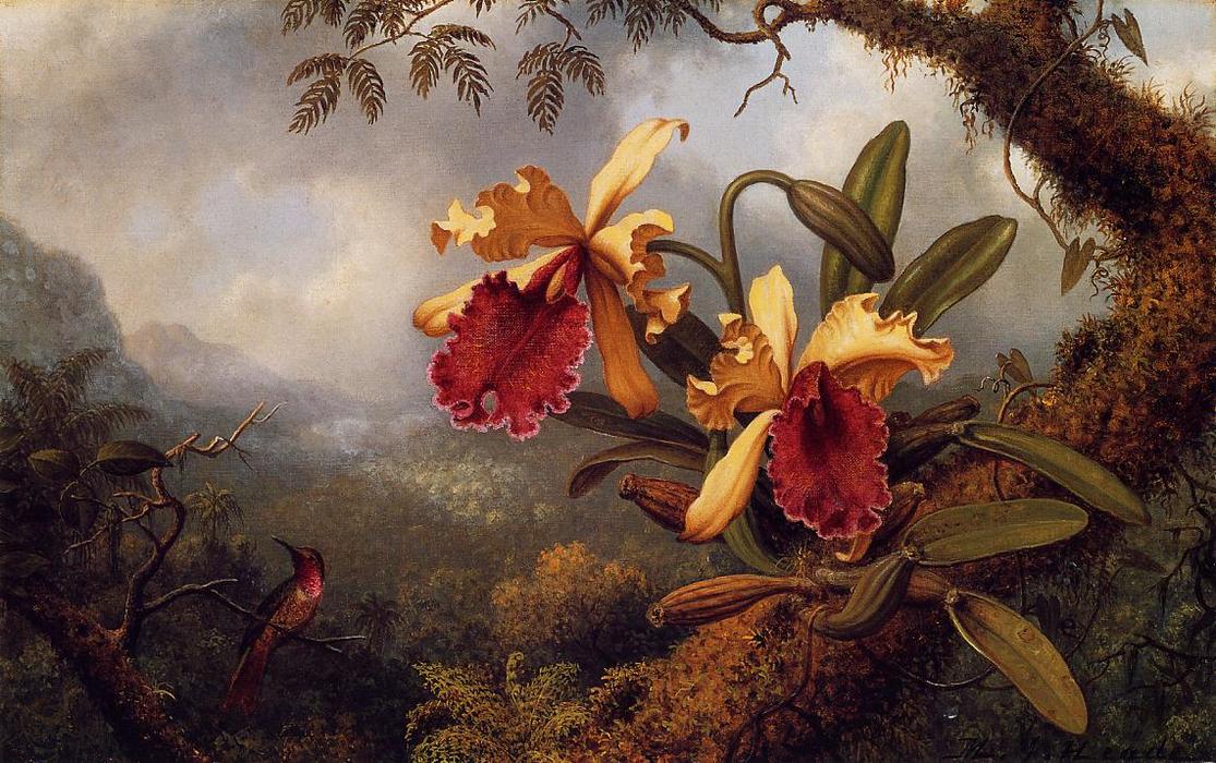 Wikioo.org - The Encyclopedia of Fine Arts - Painting, Artwork by Martin Johnson Heade - Orchids and Hummingbird 2