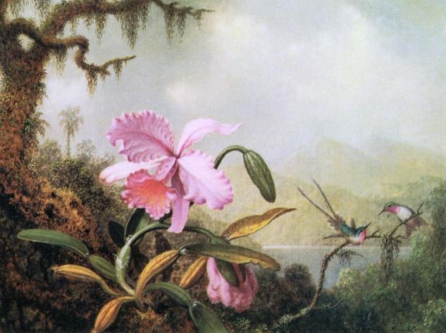 Wikioo.org - The Encyclopedia of Fine Arts - Painting, Artwork by Martin Johnson Heade - Orchids and Hummingbirds