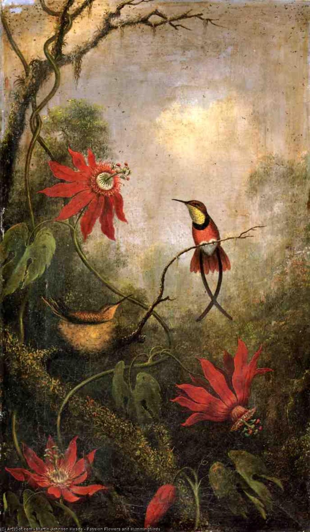 Wikioo.org - The Encyclopedia of Fine Arts - Painting, Artwork by Martin Johnson Heade - Passion Flowers and Hummingbirds