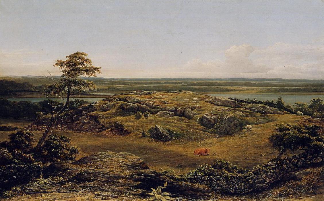 WikiOO.org - Encyclopedia of Fine Arts - Maleri, Artwork Martin Johnson Heade - Rocks in New England