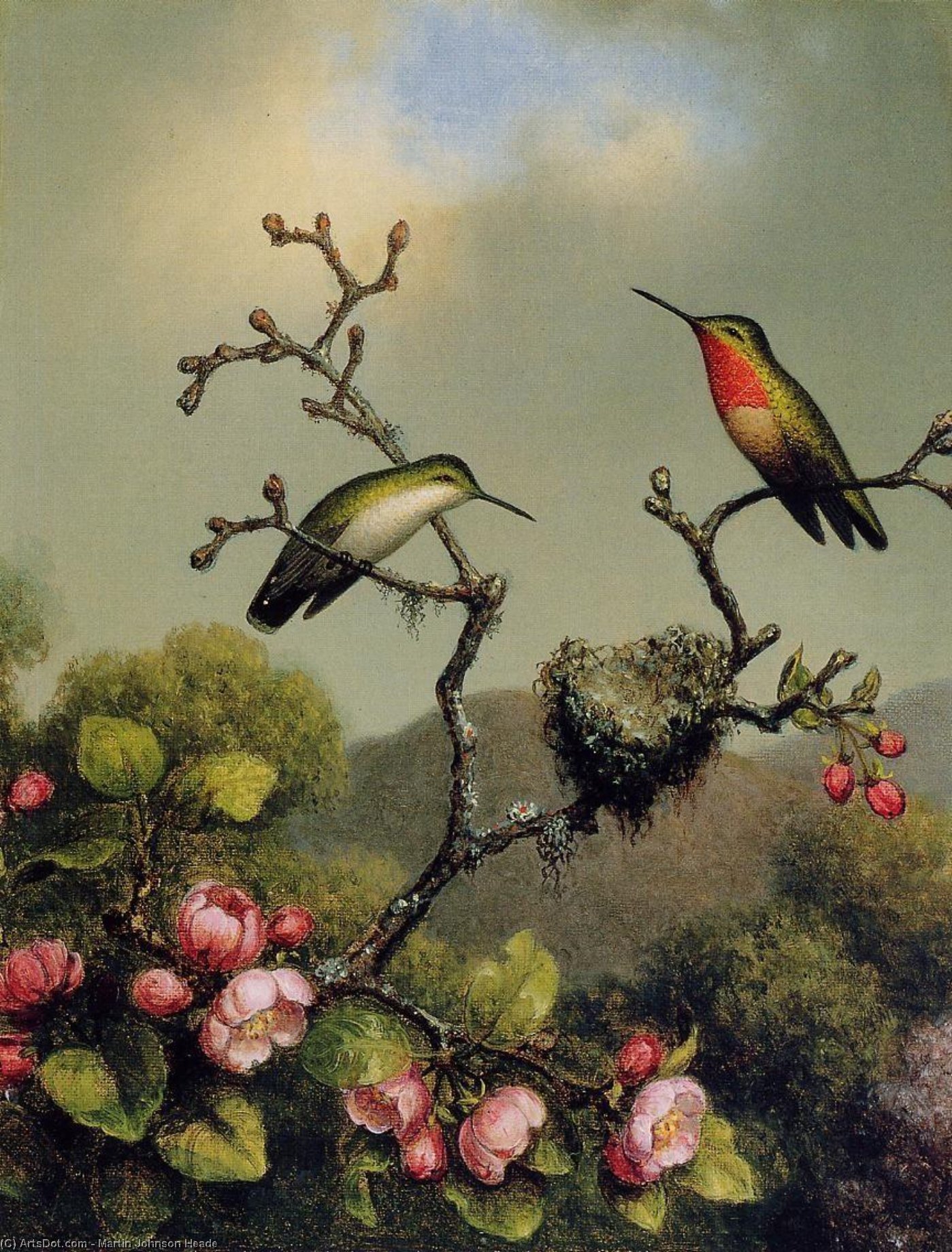 Wikioo.org - The Encyclopedia of Fine Arts - Painting, Artwork by Martin Johnson Heade - Ruby Throat of North America