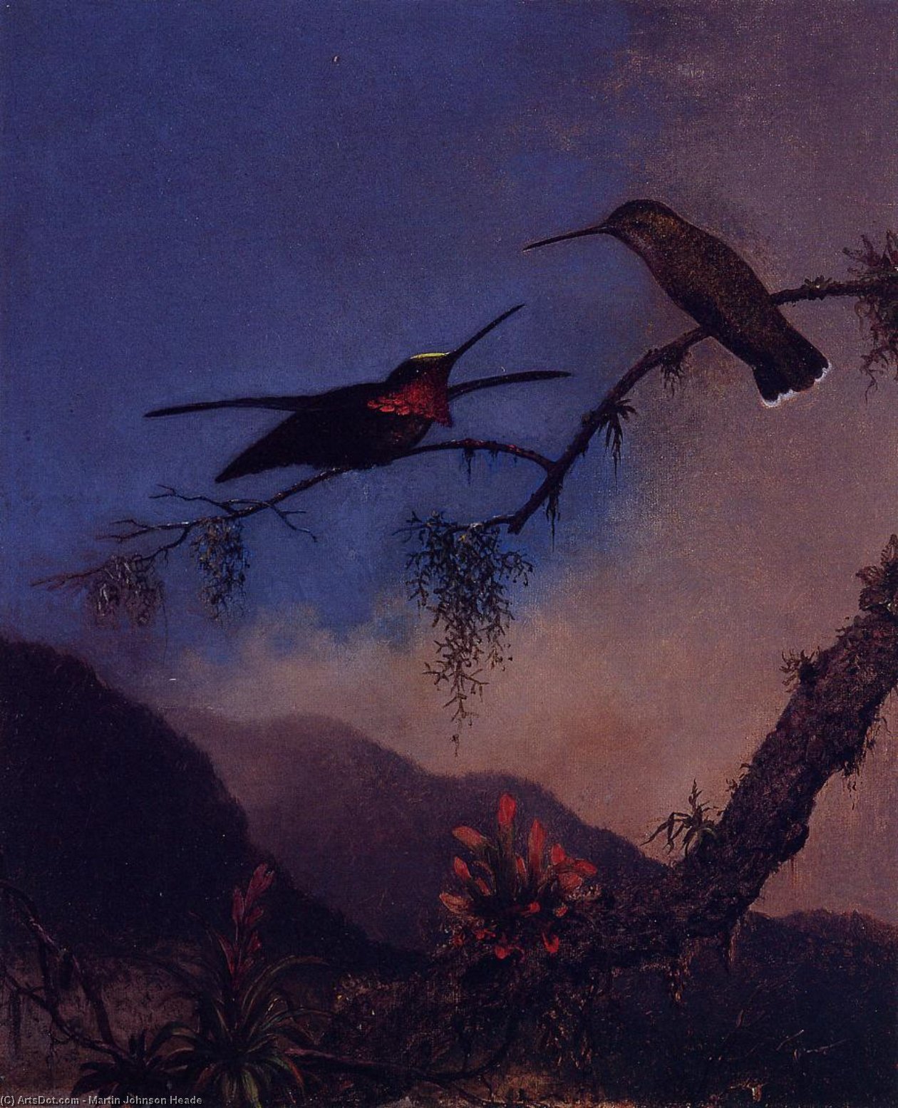 Wikioo.org - The Encyclopedia of Fine Arts - Painting, Artwork by Martin Johnson Heade - Strip-Breasted Starthroat
