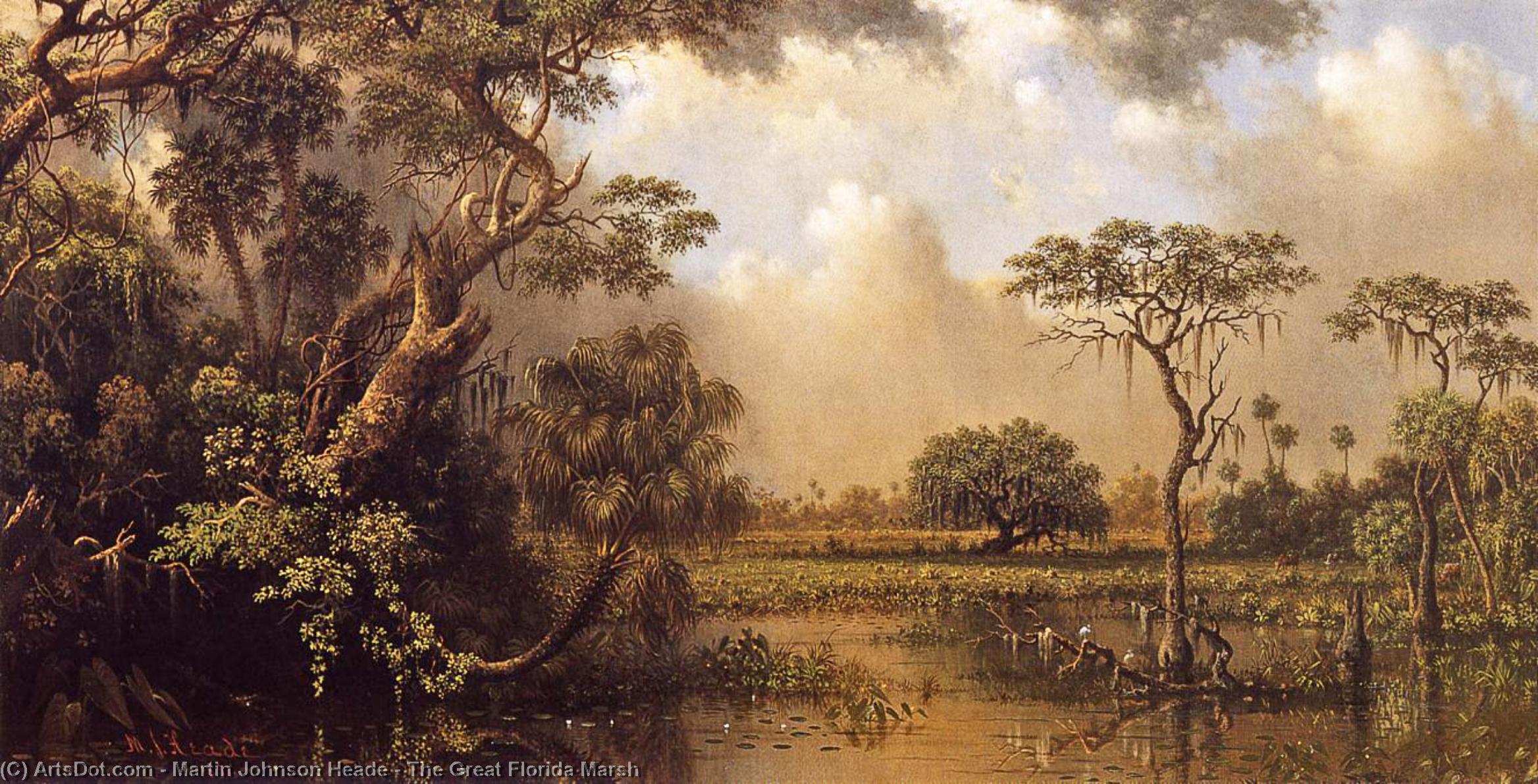 Wikioo.org - Die Enzyklopädie bildender Kunst - Malerei, Kunstwerk von Martin Johnson Heade - die großen Florida Sumpf